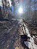 photo thumbnail #13