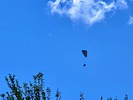 photo thumbnail #13