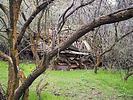 photo thumbnail #6