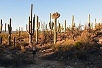 2024-02-04 :3: Wildhorse Tank Loop :: markthurman53