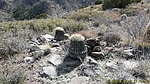 photo thumbnail #13