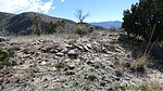 photo thumbnail #14