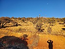 photo thumbnail #4