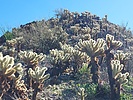 photo thumbnail #9