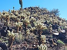 photo thumbnail #10