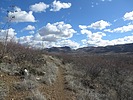 photo thumbnail #8