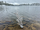 photo thumbnail #13