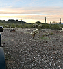 photo thumbnail #1