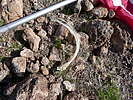 2024-02-05 :3: Antelope Peak :: FLYING_FLIVER