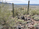 2024-02-05 :3: Antelope Peak :: FLYING_FLIVER