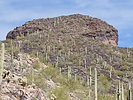 2024-02-05 :3: Antelope Peak :: FLYING_FLIVER
