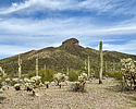 2024-02-05 :3: Antelope Peak :: FLYING_FLIVER