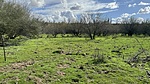 photo thumbnail #7