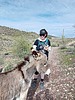 photo thumbnail #6