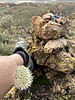 photo thumbnail #11