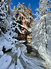 photo thumbnail #10