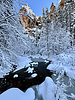 photo thumbnail #13