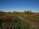 photo thumbnail #12