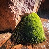 photo thumbnail #11