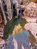 photo thumbnail #12