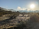 photo thumbnail #2