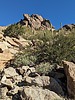 2024-02-11 :2: Torote Loop - South :: pseudalpine