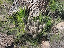 2024-02-12 :1: South Butte - Gila River :: Mike_W