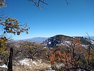 photo thumbnail #5