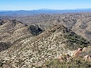 2024-02-12 :2: Buckhorn Mountains Hi Pt 4565 :: DixieFlyer