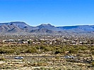2024-02-13 :1: Ocotillo Trail - Sonoran Preserve North :: kingsnake