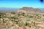 photo thumbnail #10