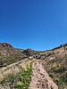 photo thumbnail #1