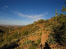 photo thumbnail #3