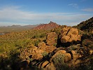 photo thumbnail #5