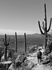 photo thumbnail #12