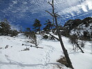 photo thumbnail #1