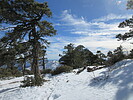 photo thumbnail #8