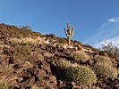 photo thumbnail #3