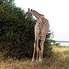 photo thumbnail #3