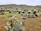 photo thumbnail #14