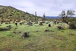 photo thumbnail #10