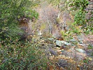 photo thumbnail #14