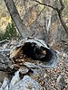 photo thumbnail #5