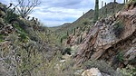 photo thumbnail #4