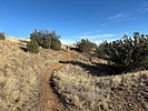 photo thumbnail #4