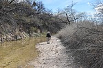 photo thumbnail #7