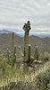 2024-02-27 :3: Tortolitas Loop :: LindaAnn