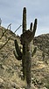 2024-02-27 :3: Tortolitas Loop :: LindaAnn
