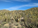 photo thumbnail #6