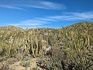 photo thumbnail #5